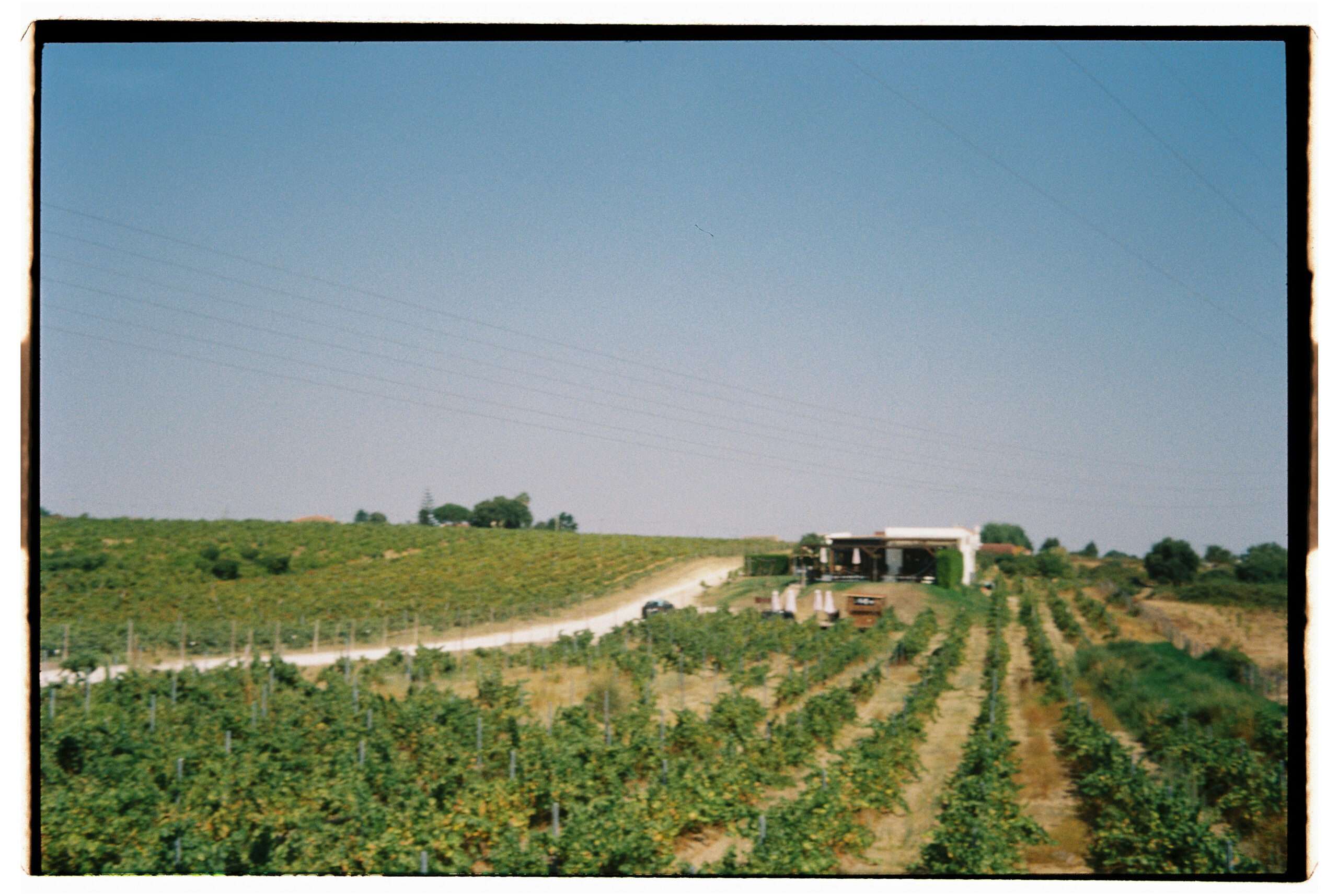 wedding-film-photographer-portugal-35mm-1